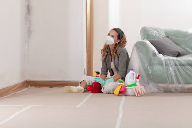 Reliable Commercial Mold Remediation contractor in Ashton, MD by 24 Hour Mold Removal